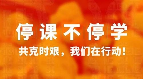 停课不停学 师生共进益